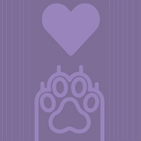 widget image